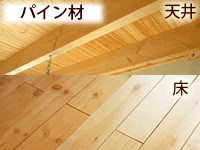 standard_pine