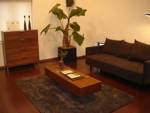 wall_img3
